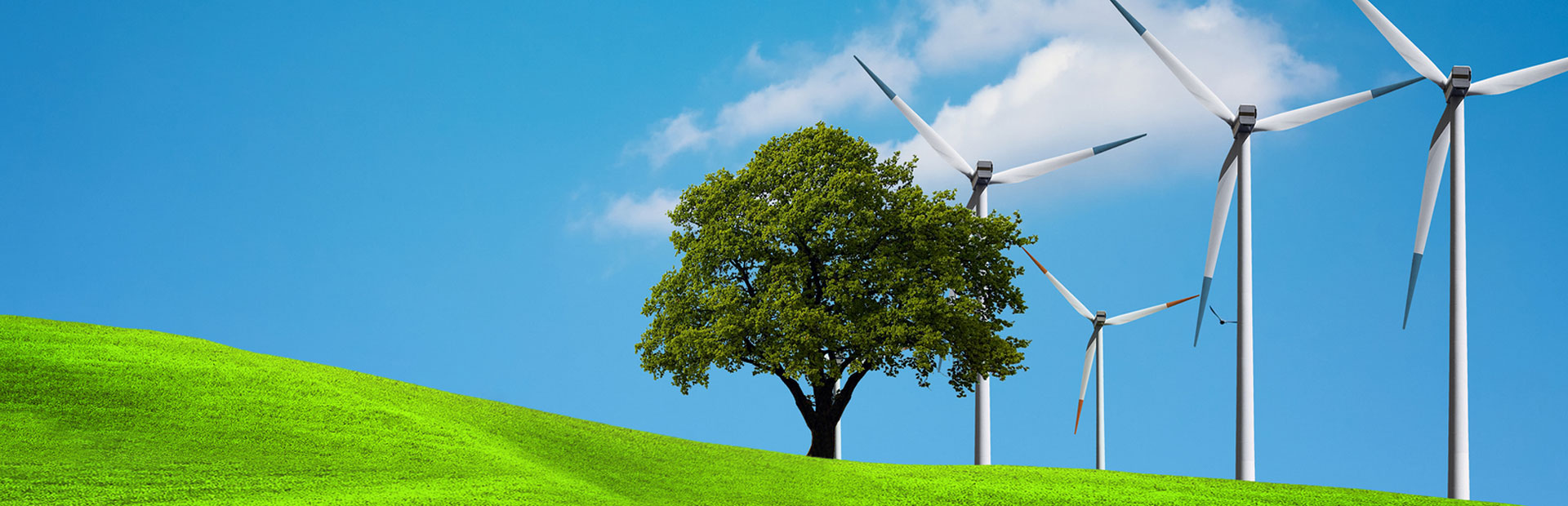 Wind farm